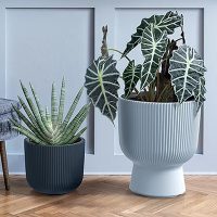 Prosperplast virágcserepek