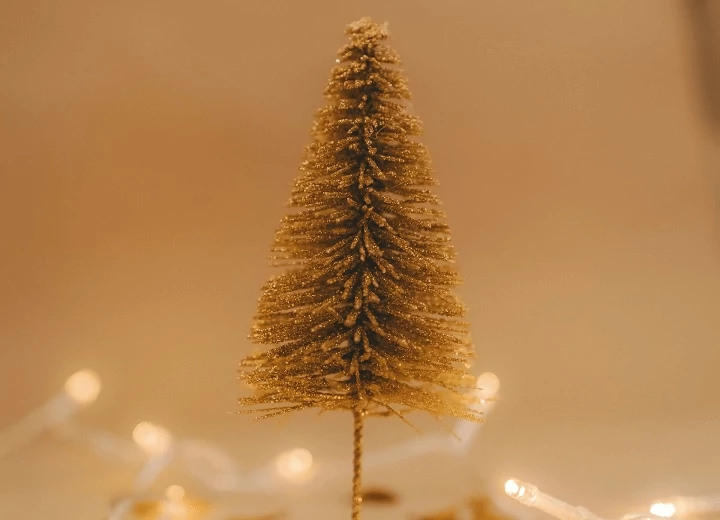 A legnépszerűbb műfenyő fajták